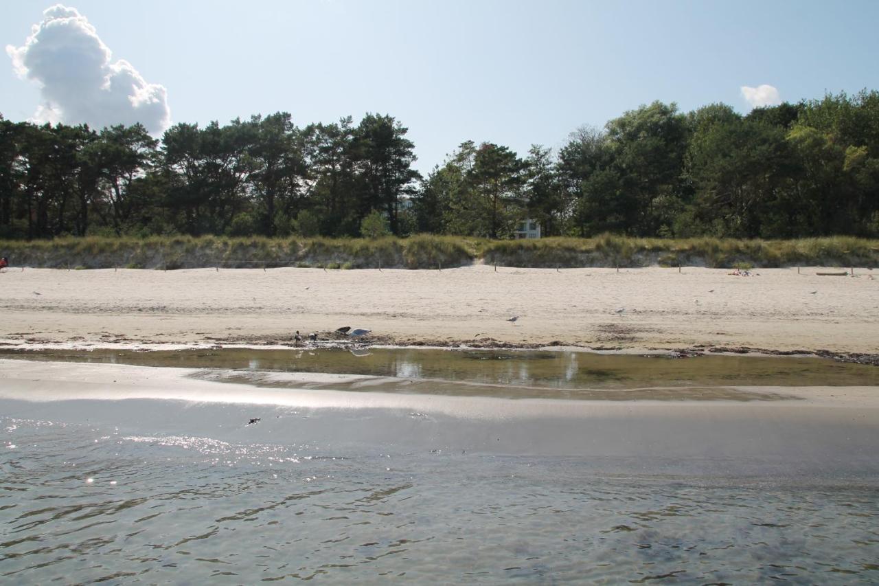 Bruchbude Mit Meerblick Binz Kültér fotó